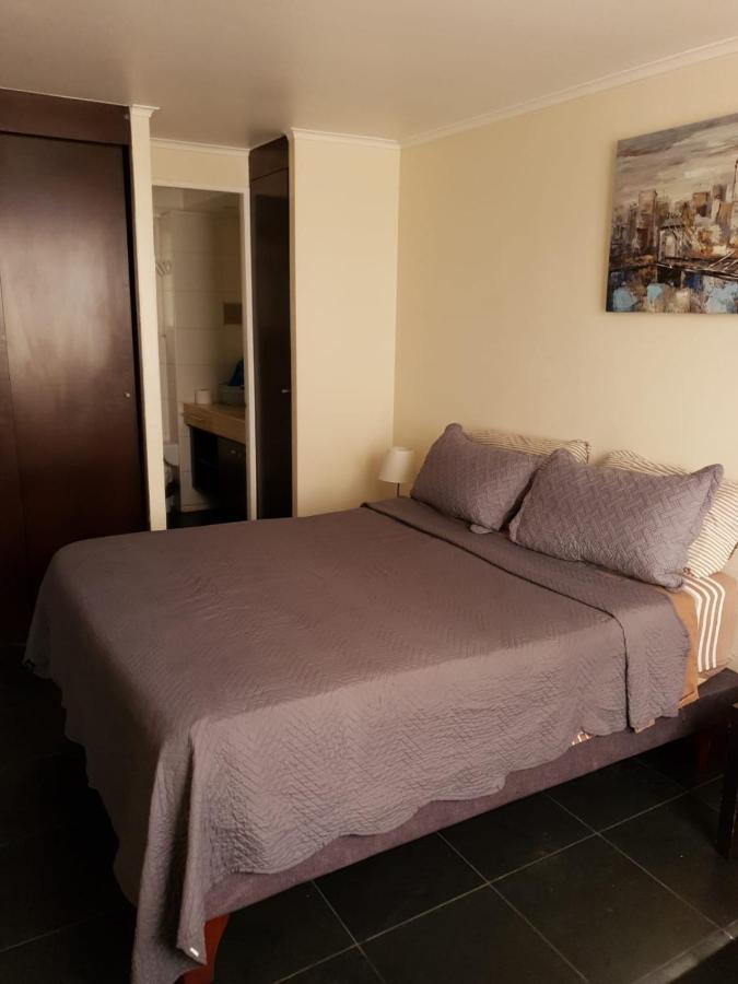 شقة سانتياغو  في Departamento Con Terraza R&M المظهر الخارجي الصورة
