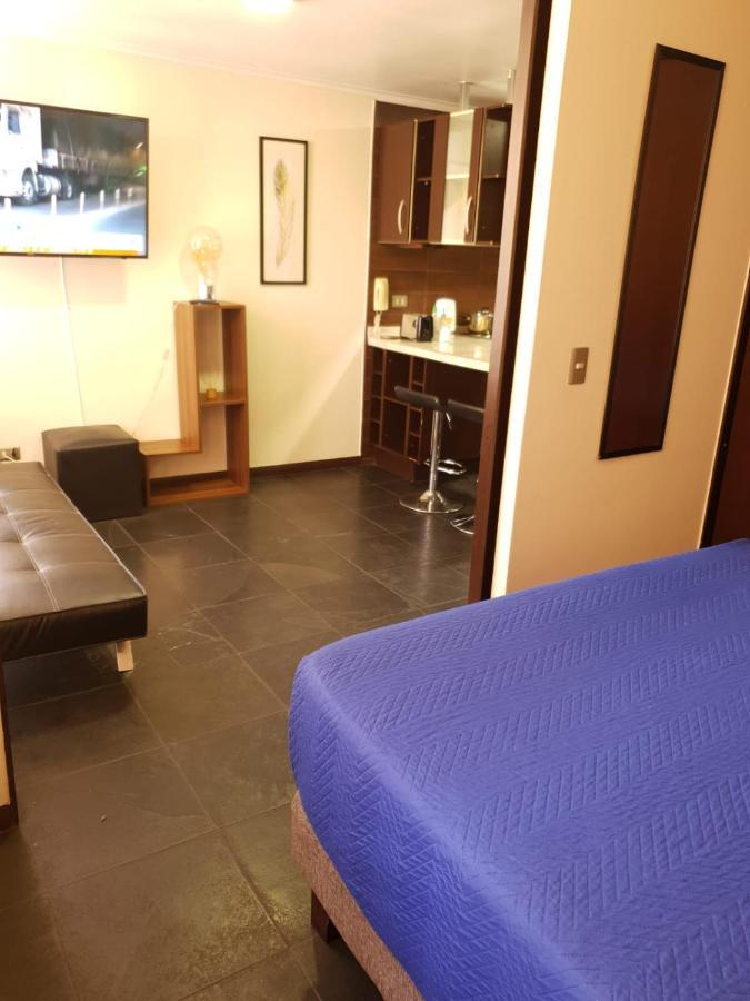 شقة سانتياغو  في Departamento Con Terraza R&M المظهر الخارجي الصورة